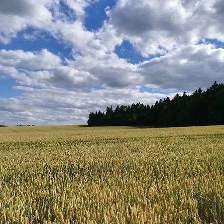 U Lesa - Nova Ves * Český Rudolec