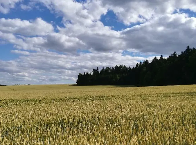 U Lesa - Nova Ves * Český Rudolec